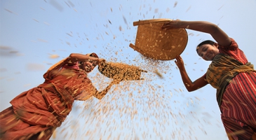 BRICS well placed to lead agricultural reforms to improve nutrition and rural livelihoods 